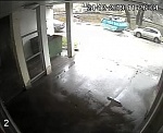 Куда нести "Новогодний" мусор?